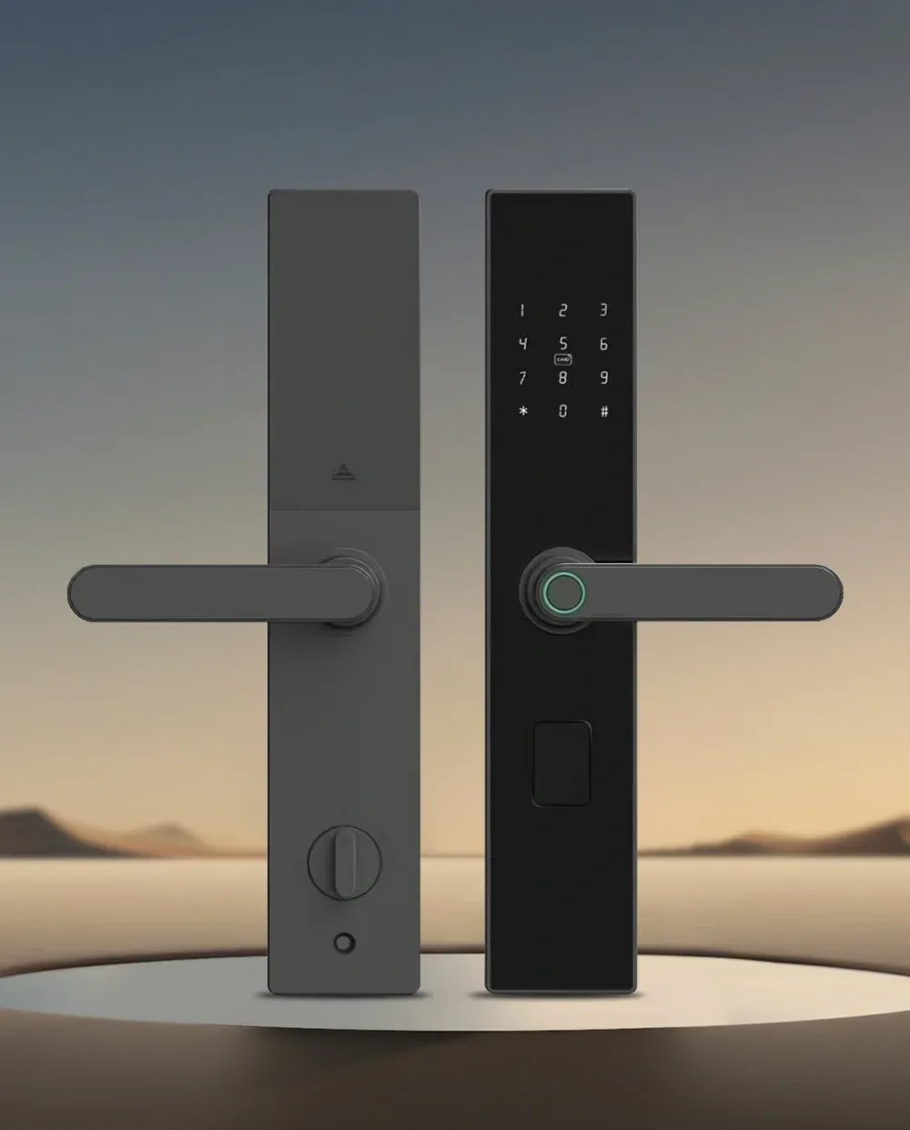 ჭკვიანი საკეტი F18 Premium Handle Smart Lock - 5